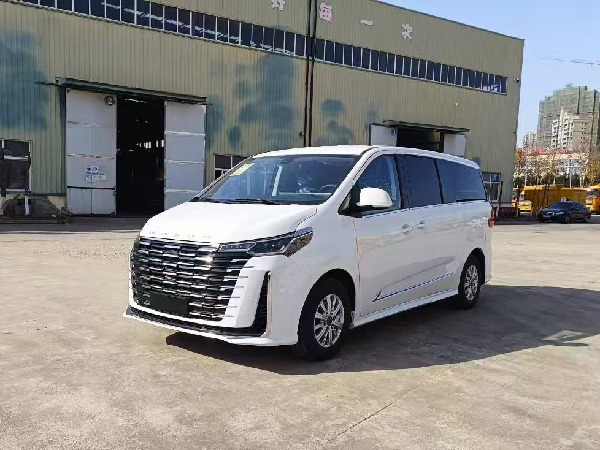大通G10 自動(dòng)擋檢測(cè)車（商務(wù)版）