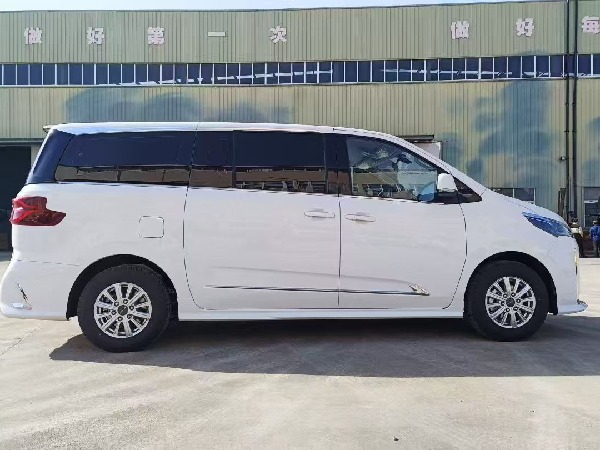 大通G10 自動(dòng)擋檢測(cè)車（商務(wù)版）
