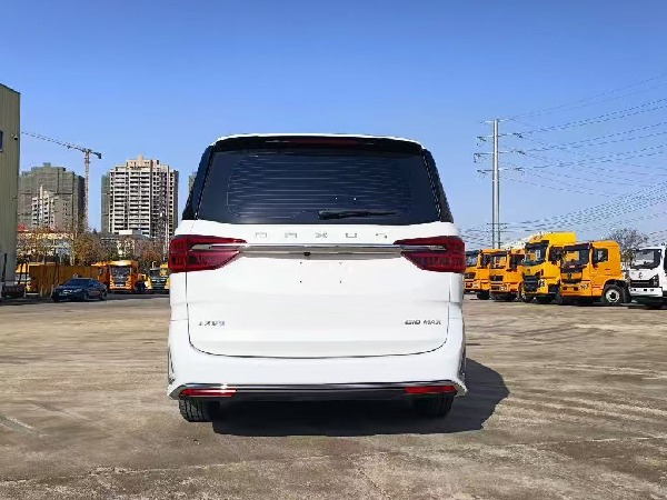 大通G10 自動(dòng)擋檢測(cè)車（商務(wù)版）